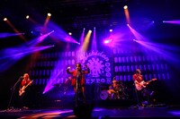 女王蜂（撮影：上山陽介）