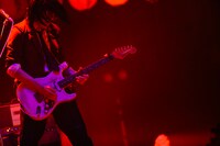 ひばりくん（女王蜂）（撮影：上山陽介）