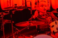 ルリちゃん（女王蜂）（撮影：上山陽介）