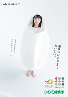 JA全農いわて「いわて純情米」ビジュアル