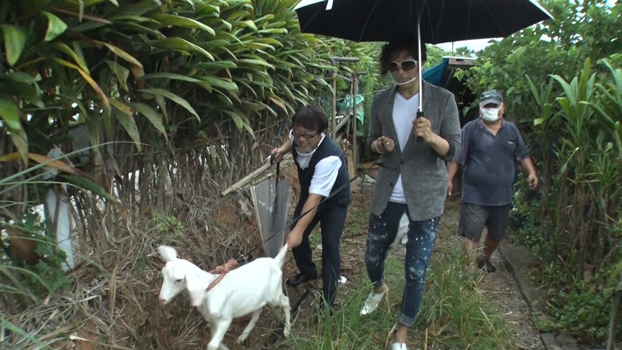 人気画像3位は「故郷に帰ったGACKT、軽トラ乗り回しヤギ5頭購入」より、GACKTとヤギ。(c)フジテレビ