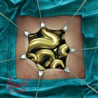 スサシ「アクダマドライブ」OPテーマをシングル化、2021年に全国ツアー