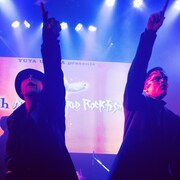 カイキゲッショク