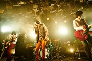 THE COLLECTORS、真島昌利とコラボした新曲「お願いマーシー」配信