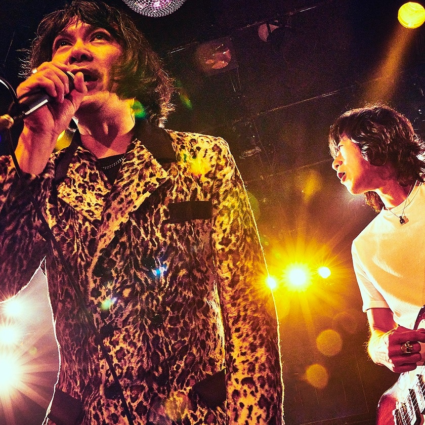 THE COLLECTORS「お願いマーシー」配信ジャケット