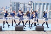 純情のアフィリア