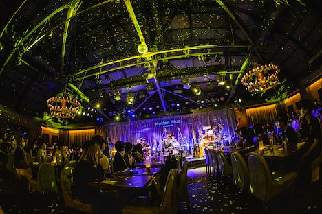 THE PINBALLS「Acoustic session Live "Dress up 2 You"」神奈川・MOTION BLUE YOKOHAMA公演の様子。（撮影：かわどう）