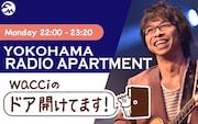 「YOKOHAMA RADIO APARTMENT 橋口洋平(wacci)のドア開けてます!」ビジュアル
