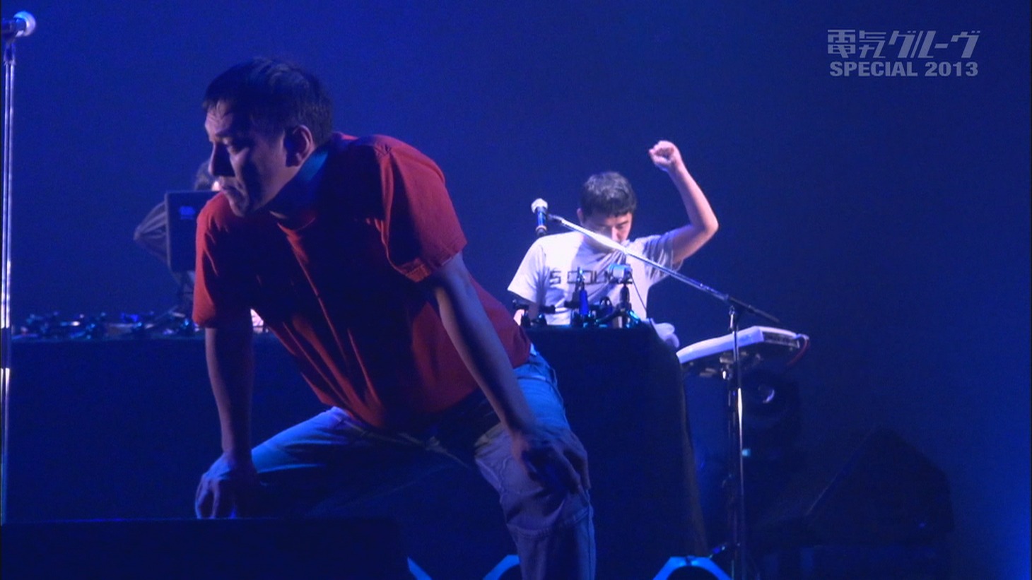 2013年放送の「電気グルーヴSPECIAL ～ツアーパンダ 2013 DOCUMENTARY〜」より。