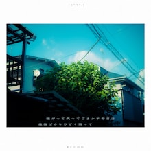 Hakubi「22」フォトブックより。