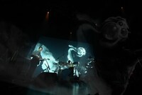 「D.A.N. Oneman 2020 "STRAND"」ライブ配信のワンシーン。