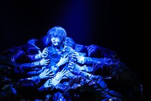 「欅坂46 THE LAST LIVE」1日目の様子。（撮影：上山陽介）