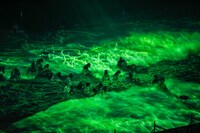 「欅坂46 THE LAST LIVE」1日目の様子。（撮影：上山陽介）