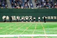 豆柴の大群の50m走の様子。