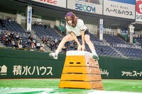 跳び箱を跳ぶカエデフェニックス。