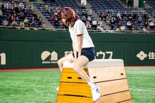 カエデフェニックス