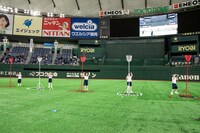 豆柴の大群による玉入れの様子。