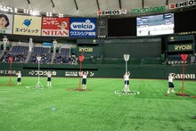 豆柴の大群による玉入れの様子。