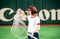 カエデフェニックス