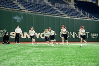 豆柴の大群による障害物競走の様子。