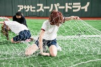 豆柴の大群による障害物競走の様子。