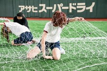 豆柴の大群による障害物競走の様子。