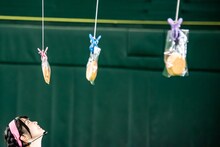 パンを見つめるミユキエンジェル。