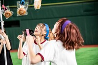 豆柴の大群による障害物競走の様子。