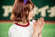 カエデフェニックス