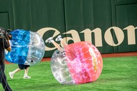 ハナエモンスターから吹き飛ばされたカエデフェニックス。