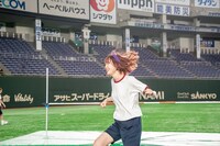 カエデフェニックス