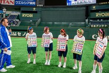 たむらけんじ、豆柴の大群。