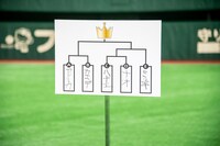 豆柴の大群によるガチ相撲のトーナメント表。