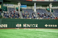 豆粒に挨拶をする豆柴の大群。