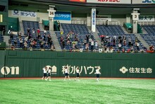 豆粒に挨拶をする豆柴の大群。