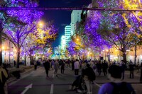 昨年の「大阪・光の饗宴」の様子。(c)大阪・光の饗宴実行委員会　