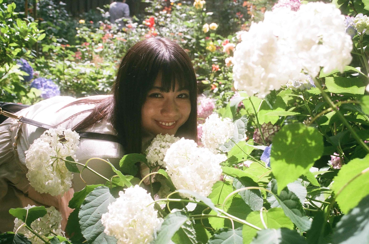 優里「ドライフラワー」ミュージックビデオより。 - 優里「かくれんぼ