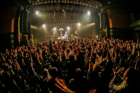 挫・人間「挫・人間 TOUR 2020～さような来世！風と共に去りヌンティウス～」東京・TSUTAYA O-EAST公演の様子。（撮影：森好弘）
