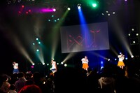 「B.O.L.T『POP』ONE MAN LIVE@Zepp Tokyo」の様子。（撮影：笹森健一）