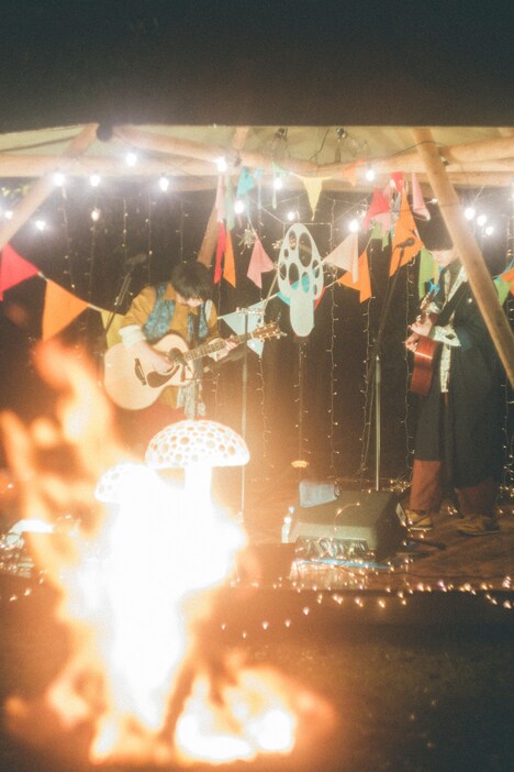 さくらしめじ（撮影：鈴木友莉）