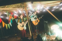 さくらしめじ（撮影：鈴木友莉）