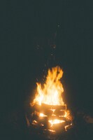 さくらしめじのキャンプファイヤー。（撮影：鈴木友莉）