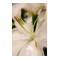 東京事変「命の帳」配信ジャケット