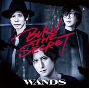 WANDS「BURN THE SECRET」通常盤ジャケット