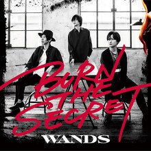 WANDS「BURN THE SECRET」初回限定盤ジャケット