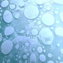 山本精一「windmill」ジャケット