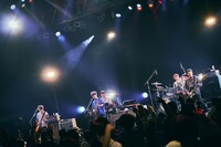 ASIAN KUNG-FU GENERATION（撮影：山川哲矢）