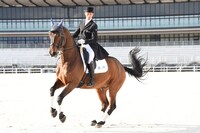 馬場馬術のピルエット実演の様子。