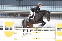 障害馬術の実演の様子。