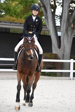 菅井友香（櫻坂46）